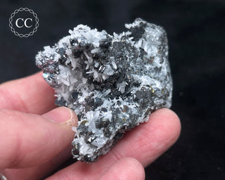 Sphalerite with Galena & Quartz - Bulgaria #8