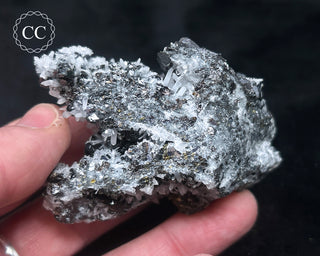 Sphalerite with Galena & Quartz - Bulgaria #8