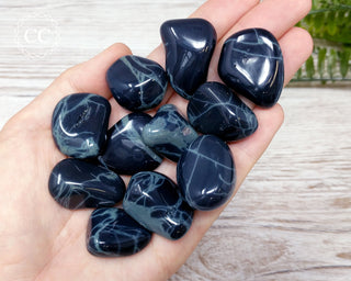 Spiderweb Obsidian Tumbled Crystals in hand