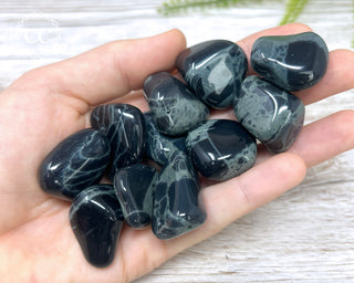 Spiderweb Obsidian Tumbled Crystals in hand