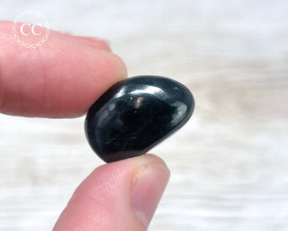 Star Diopside Pebble #3
