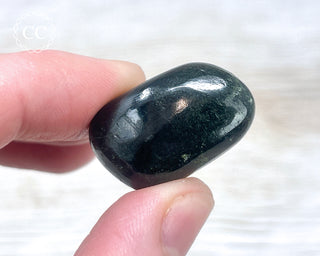 Star Diopside Pebble #4