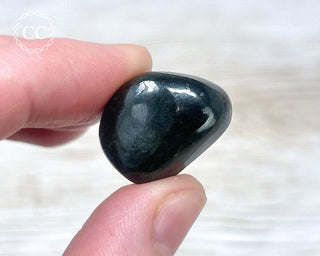Star Diopside Pebble #5