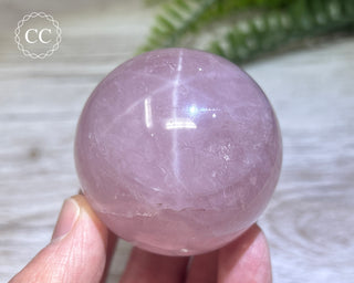 Star Rose Quartz Sphere #1