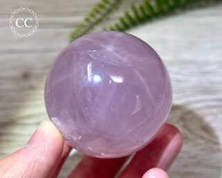 Star Rose Quartz Sphere #4