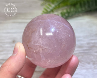 Star Rose Quartz Sphere #5