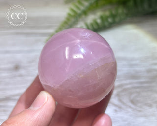 Star Rose Quartz Sphere #6