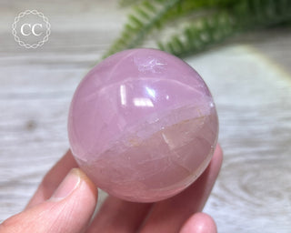 Star Rose Quartz Sphere #6