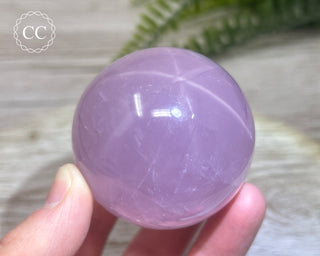 Star Rose Quartz Sphere #7