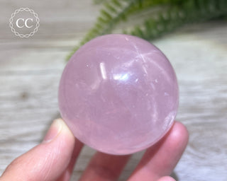 Star Rose Quartz Sphere #8