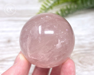 Star Rose Quartz Sphere #1