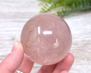 Star Rose Quartz Sphere #5