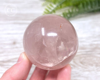 Star Rose Quartz Sphere #5