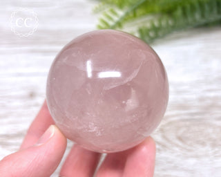 Star Rose Quartz Sphere #5