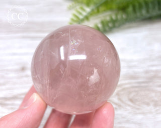 Star Rose Quartz Sphere #5