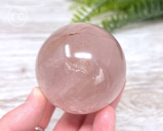 Star Rose Quartz Sphere #5