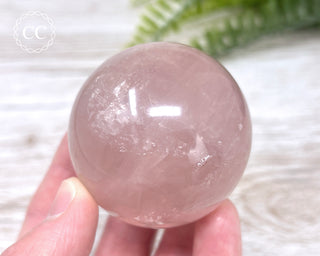 Star Rose Quartz Sphere #1