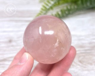 Star Rose Quartz Sphere #6