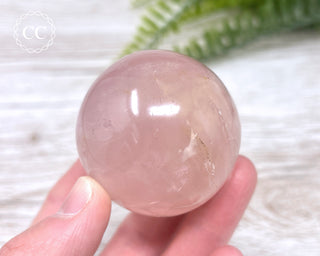 Star Rose Quartz Sphere #6