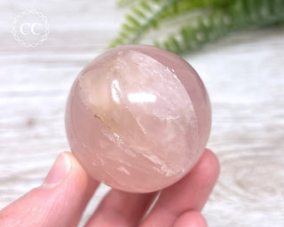 Star Rose Quartz Sphere #6