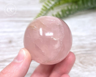 Star Rose Quartz Sphere #6