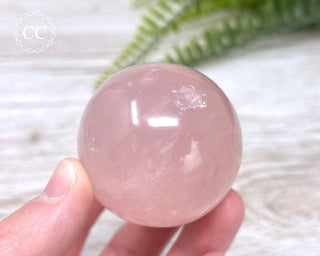 Star Rose Quartz Sphere #6