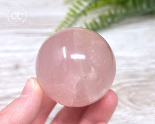 Star Rose Quartz Sphere #6