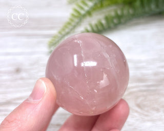 Star Rose Quartz Sphere #6