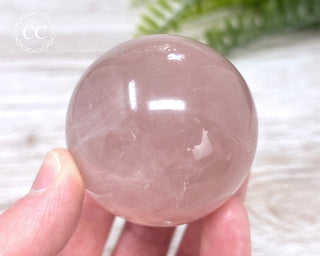 Star Rose Quartz Sphere #1