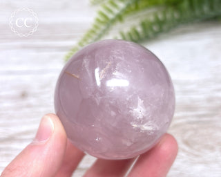 Star Rose Quartz Sphere #7