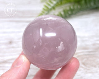 Star Rose Quartz Sphere #7