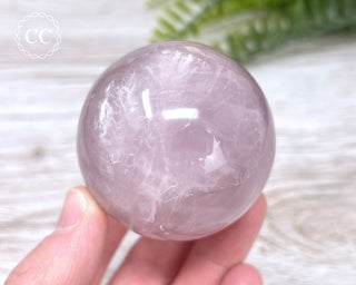 Star Rose Quartz Sphere #7