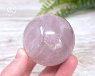 Star Rose Quartz Sphere #7