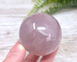 Star Rose Quartz Sphere #7