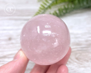 Star Rose Quartz Sphere #8