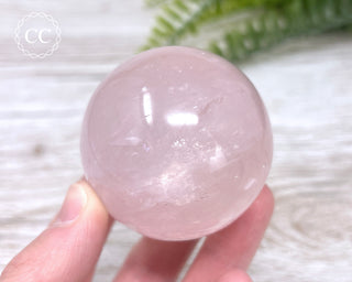 Star Rose Quartz Sphere #8