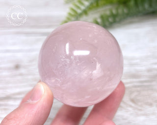 Star Rose Quartz Sphere #8