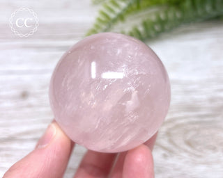 Star Rose Quartz Sphere #8