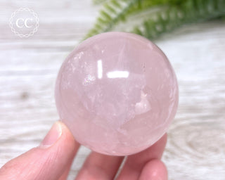 Star Rose Quartz Sphere #8