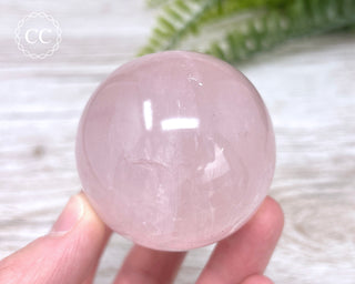 Star Rose Quartz Sphere #8