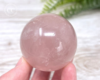 Star Rose Quartz Sphere #1