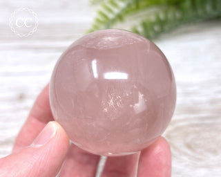 Star Rose Quartz Sphere #1