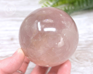 Star Rose Quartz Sphere #10