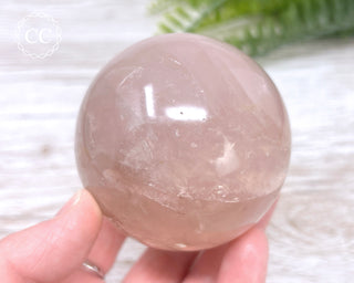 Star Rose Quartz Sphere #10