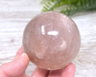 Star Rose Quartz Sphere #10