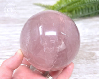 Star Rose Quartz Sphere #11