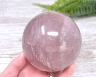 Star Rose Quartz Sphere #11