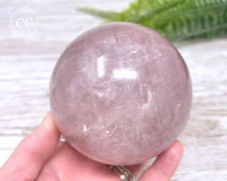 Star Rose Quartz Sphere #11