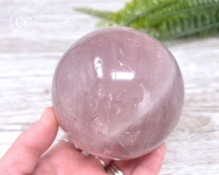 Star Rose Quartz Sphere #11