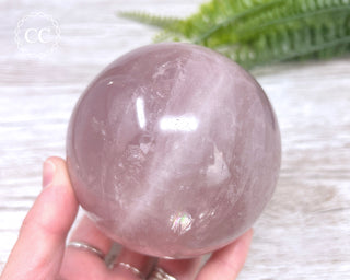 Star Rose Quartz Sphere #11